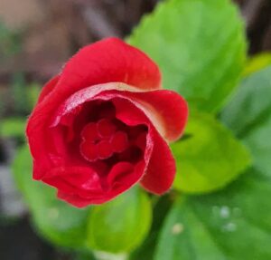 สวัสดีวันอาทิตย์-️️️-จะคิดให้ยึดมั่นถือมั่น-ทำไม-พระพุทธ-|-2026-01-25-01:39:00