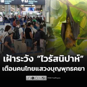 กรมควบคุมโรค-เฝ้าระวัง-ไวรัสนิปาห์-คัดกรองคนเข้าประเทศ-กต.-|-2026-01-25-01:30:00