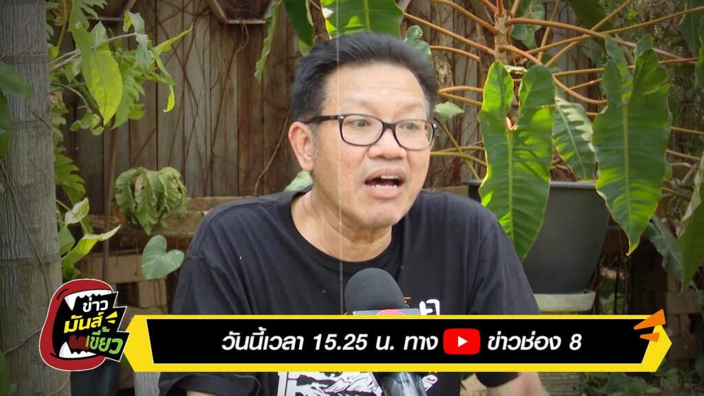 งานเข้า