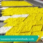 เตรียมทำขนมพองขายงานสารทเดือนสิบ-จ.ตรัง-ข่าวใต้แลได้ที่เรา