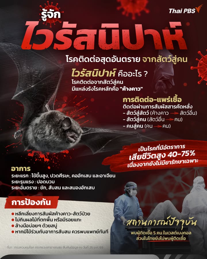 -รู้จัก-“ไวรัสนิปาห์”-1-ใน-13-โรคติดต่ออันตราย-จากสัตว์สู่ค