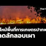 ไฟไหม้พื้นที่การเกษตรปากพลี จ.นครนายก คาดลักลอบเผา | 28 ม.ค. 69