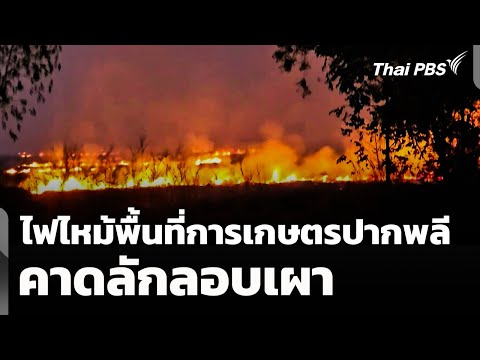 ไฟไหม้พื้นที่การเกษตรปากพลี จ.นครนายก คาดลักลอบเผา | 28 ม.ค. 69