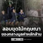 พญาเสือภาคใต้บุกทลายแคมป์ลับ-จับชาวเวียดนาม-3-คนขุดไม้กฤษณา-|-2026-01-28-06:28:00