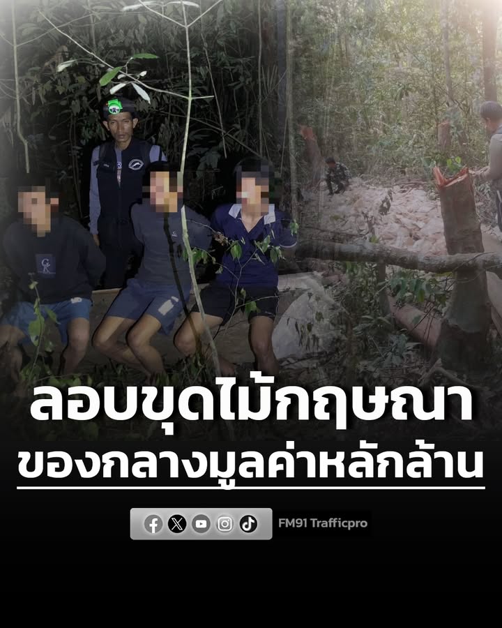พญาเสือภาคใต้บุกทลายแคมป์ลับ-จับชาวเวียดนาม-3-คนขุดไม้กฤษณา-|-2026-01-28-06:28:00