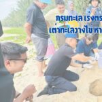 -กรมทะเลฯ-เร่งตรวจสอบร่องรอยเต่าทะเลวางไข่-หาดบ่อดาน-จ.พัง