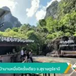 ดอกรักป่าบานหนึ่งปีครั้งเดียว-จ.สุราษฎร์ธานี-ข่าวใต้แลได้ที