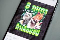 เบื้องหลัง-“มีมแมวตลก”-รณรงค์เห็นชอบประชามติ-เมื่อ-“ทฤษฎีแมวน่ารัก”-ถูกนำมาใช้สื่อสารทางการ