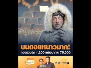 บนดอยหนาวมาก ทองร่วงอีก 1,200 เหลือบาทละ 75,000 อัพเดทข่าว