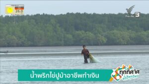 น้ำพริกไข่ปูม้าอาชีพทำเงิน-ข่าวใต้แลได้ที่เรา-ข่าวที่คุณวา