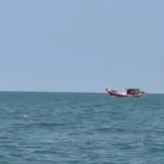 ððð¬ð¨-ðð©ð¤ð§ð®:-นาทีประทับใจ-พบฝูงโลมาหลังโหนก-6-ตัว-ว่ายเล่นบ