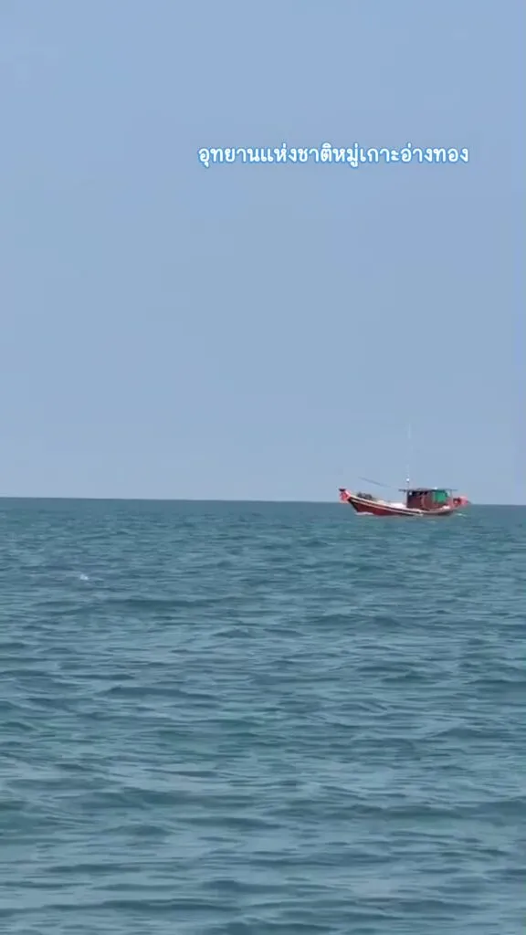 ððð¬ð¨-ðð©ð¤ð§ð®:-นาทีประทับใจ-พบฝูงโลมาหลังโหนก-6-ตัว-ว่ายเล่นบ