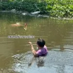 ขอแสดงความเสียใจ-คุณตาวัย-69-ปี-ขาไม่ค่อยดี-ลงหาปลาหลังที่พ-|-2026-02-03-05:28:00