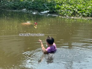 ขอแสดงความเสียใจ-คุณตาวัย-69-ปี-ขาไม่ค่อยดี-ลงหาปลาหลังที่พ-|-2026-02-03-05:28:00