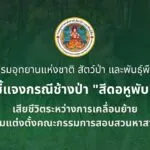 กรมอุทยานแห่งชาติ-ชี้แจงกรณีช้างป่า-“สีดอหูพับ”-เสียชีวิตระหว่างกา