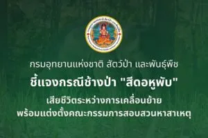กรมอุทยานแห่งชาติ-ชี้แจงกรณีช้างป่า-“สีดอหูพับ”-เสียชีวิตระหว่างกา