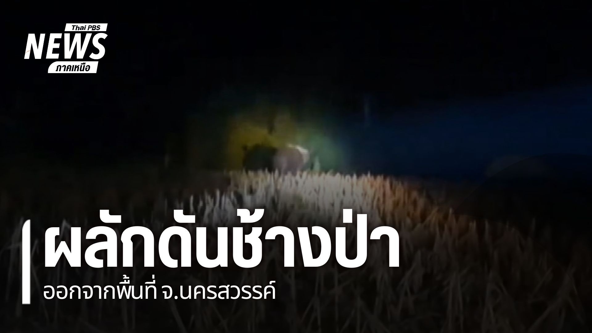 ชาวบ้านในตำบลแม่เปิน-อำเภอแม่เปิน-จังหวัดนครสวรรค์-กำลังได้ร