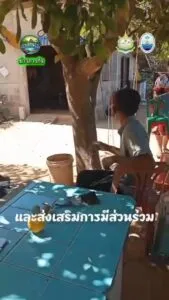 -กรมทะเล-เดินหน้าลาดตระเวน-natty-mangrove-patrol-คุ้มครองป