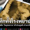 เกิดเหตุสุดระทึกที่โรงพยาบาลรังเกล-เมืองตูลูส-ประเทศฝรั่งเศส