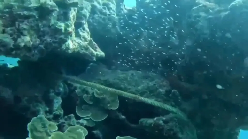 -กรมทะเล-โดยกองป้องกัน-ปราบปราม-และบริหารจัดการพื้นที่คุ้ม