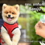 กรุงเทพมหานครเดินหน้ามาตรการดูแลสัตว์เลี้ยง-แก้ไขปัญหาสัตว์จ