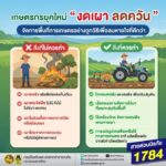 การจัดการพื้นที่การเกษตรโดยไม่เผา-เป็นทางเลือกที่สำคัญ-ในก