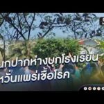 นกปากห่างบุกโรงเรียน กังวลแพร่เชื้อโรค | ข่าวนี้ต้องเล่า | สำนักข่าววันนิวส์
