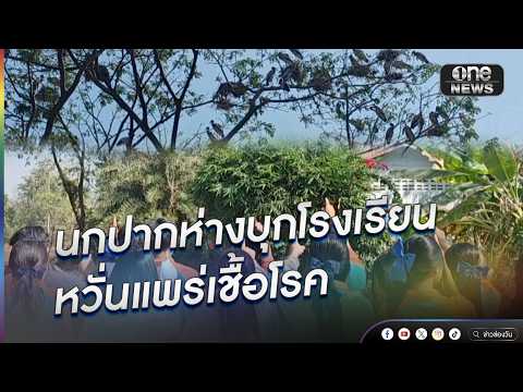 นกปากห่างบุกโรงเรียน กังวลแพร่เชื้อโรค | ข่าวนี้ต้องเล่า | สำนักข่าววันนิวส์
