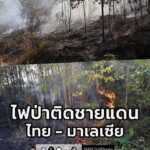 เบตง-ไฟไหม้ป่าสวนยางพาราติดชายแดนไทยมาเลเซีย-เสียหายกว่า-50-|-2026-02-09-18:fifty-three:00