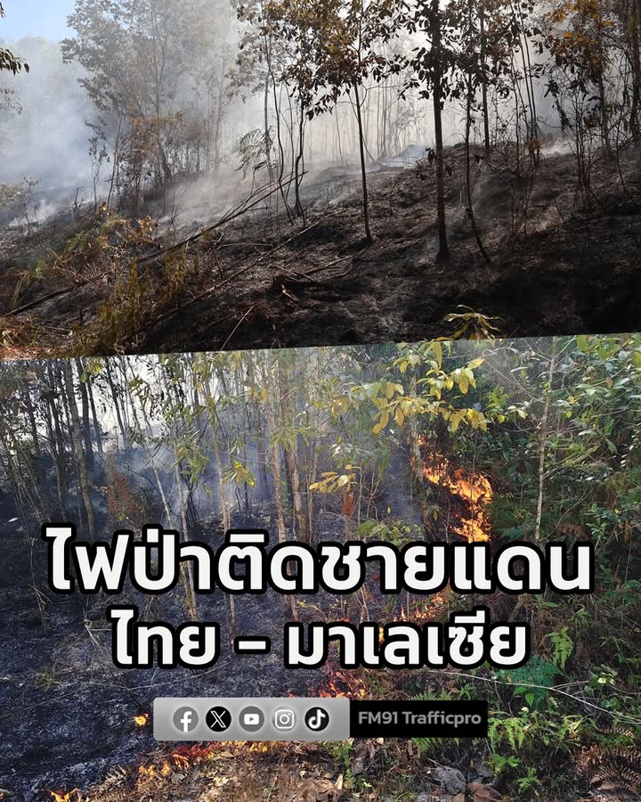 เบตง-ไฟไหม้ป่าสวนยางพาราติดชายแดนไทยมาเลเซีย-เสียหายกว่า-50-|-2026-02-09-18:fifty-three:00