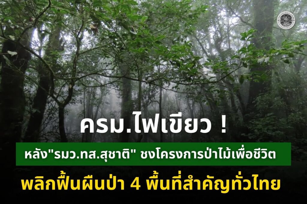 ครมไฟเขียว​-หลัง-“รมวทส.สุชาติ​”-ชง​โครงการป่าไม้เพื่อชีวิ
