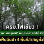 ครมไฟเขียว​-หลัง-“รมวทส.สุชาติ​”-ชง​โครงการป่าไม้เพื่อชีวิ