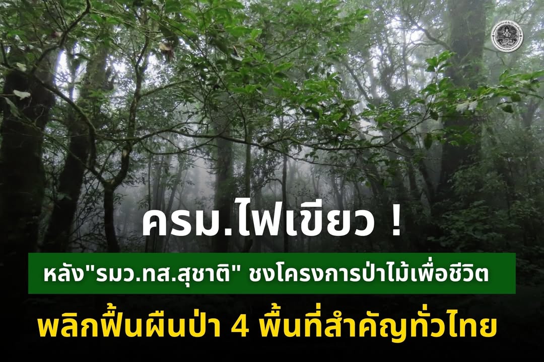 ครมไฟเขียว​-หลัง-“รมวทส.สุชาติ​”-ชง​โครงการป่าไม้เพื่อชีวิ