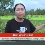 สด…โรงเรียนพะตงประธานคีรีวัฒน์-อหาดใหญ่-จ.สงขลา-ตำรวจเร่ง