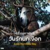 13-กุมภาพันธ์-“วันรักนกเงือก”-วันที่-13-กุมภาพันธ์ของทุกปีตร