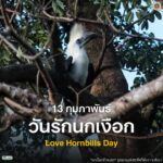 13-กุมภาพันธ์-“วันรักนกเงือก”-วันที่-13-กุมภาพันธ์ของทุกปีตร