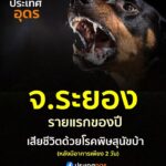 -จ.ระยอง-รายแรกของปี️เสียชีวิตด้วยโรคพิษสุนัขบ้า-หลังมีอาก