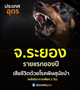 -จ.ระยอง-รายแรกของปี️เสียชีวิตด้วยโรคพิษสุนัขบ้า-หลังมีอาก