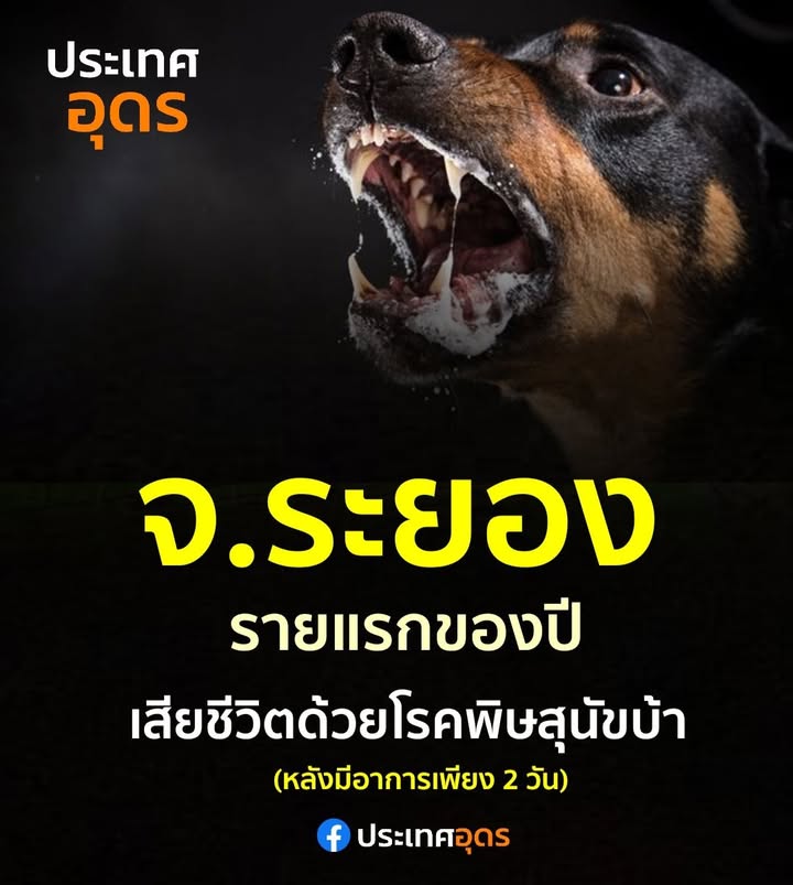 -จ.ระยอง-รายแรกของปี️เสียชีวิตด้วยโรคพิษสุนัขบ้า-หลังมีอาก