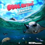 วาเลนไทน์ปีนี้-บอกรักคนข้างกายแล้ว…-อย่าลืม-บอกรักทะเลแ