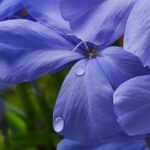 สวัสดีวันเสาร์-สุขสันต์วันวาเลนไทน์-พระพุทธองค์ตรัสถาม-|-2026-02-14-01:39:00