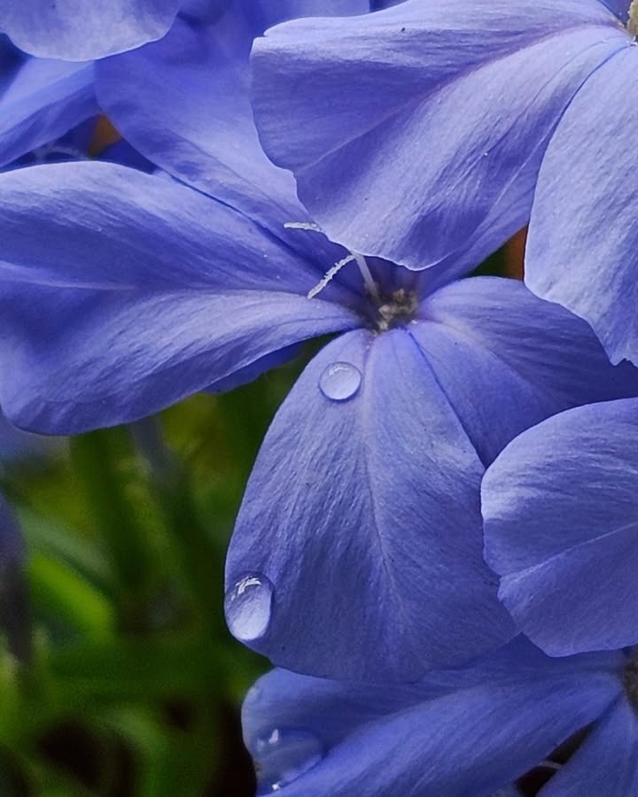 สวัสดีวันเสาร์-สุขสันต์วันวาเลนไทน์-พระพุทธองค์ตรัสถาม-|-2026-02-14-01:39:00