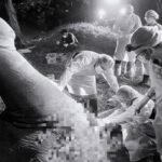 ทีมสัตวแพทย์ผ่าชันสูตร-“แม่ช้างป่าเขาฉกรรจ์”-ล้มสงบ-ก่อนเก็บ