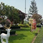 -ตรุษจีนนี้-ดีลแรงกว่าอั่งเปา-สิทธิพิเศษรวมกว่า-ððð,ððð-บ-|-2026-02-15-06:54:00