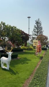 -ตรุษจีนนี้-ดีลแรงกว่าอั่งเปา-สิทธิพิเศษรวมกว่า-ððð,ððð-บ-|-2026-02-15-06:54:00