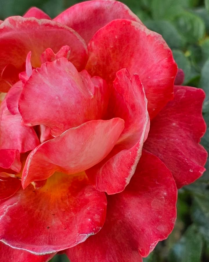 สวัสดีวันอาทิตย์-️️️-ทิ้งคิดใจเป็นอิสระ-พระพุทธองค์ตรัส-|-2026-02-15-01:15:00