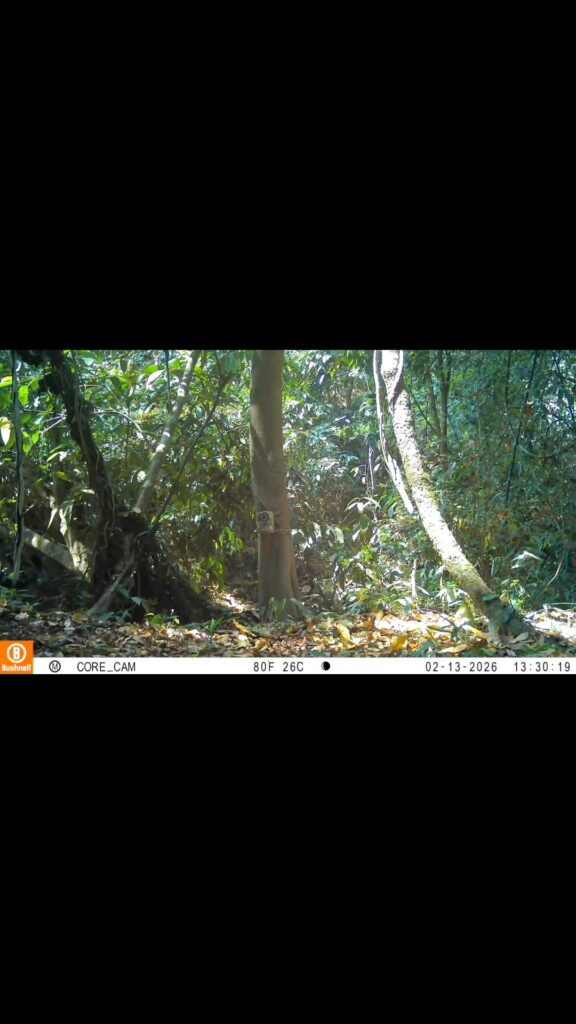 “เสือโคร่งณเดช”-พบรักใหม่-ผลสำเร็จการลาดตระเวนเชิงคุณภาพ-(s