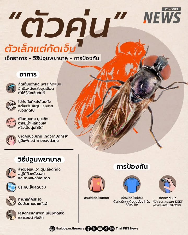 “ตัวคุ่น”-จิ๋วแต่แสบ-กัดเจ็บจี๊ดจนต้องสะดุ้ง.-“ตัวคุ่น”-(b