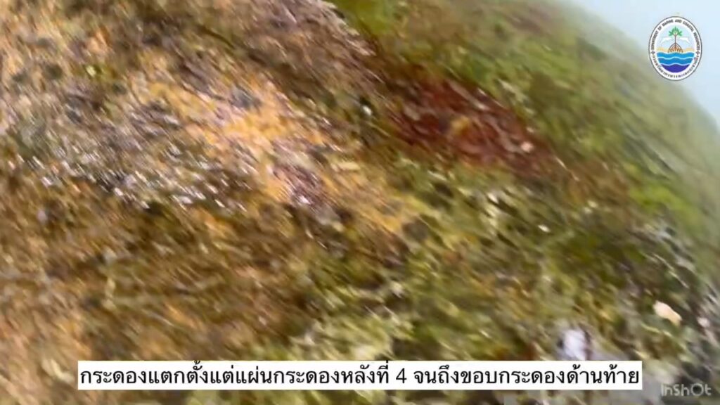 -กรมทะเล-โดยเจ้าหน้าที่กลุ่มสัตว์ทะเลหายากและใกล้สูญพันธุ์