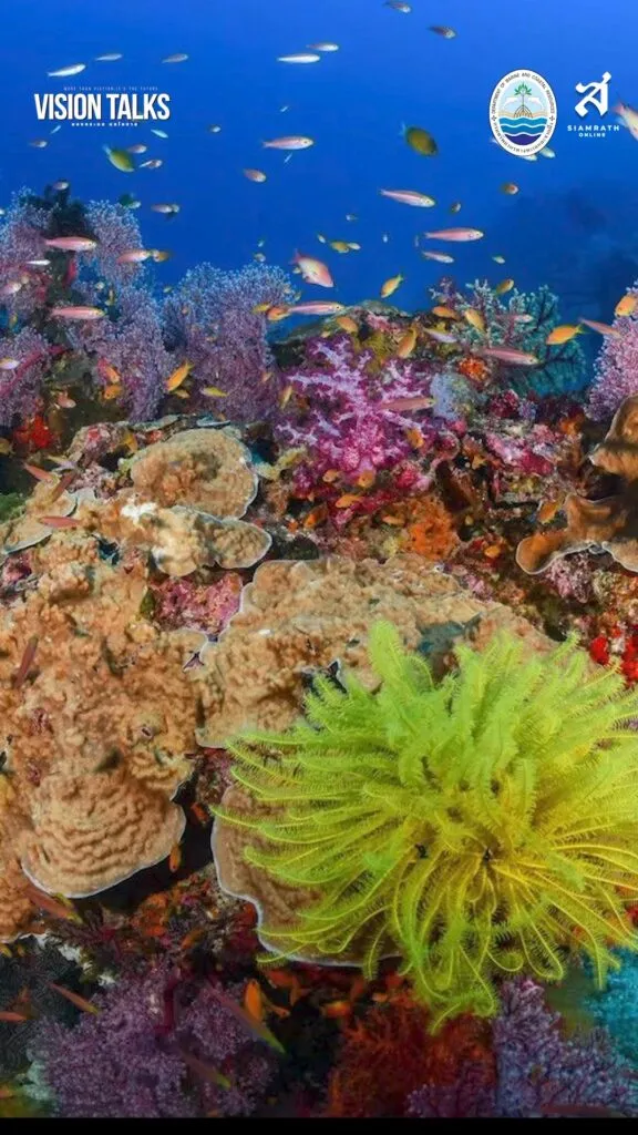 -กรมทะเล-x-รายการ-vision-talks-เปิดมิติใหม่แห่งการอนุรักษ์
